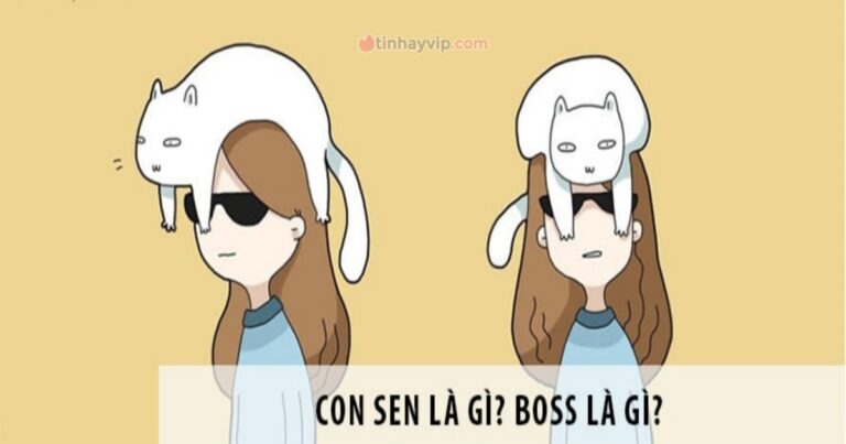 Boss là gì? Con sen là gì? Nguồn gốc trend boss và con sen